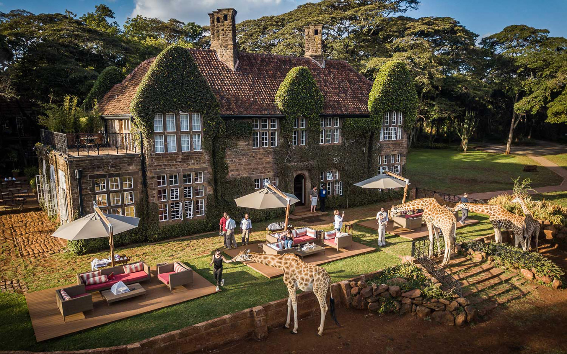 giraffe manor