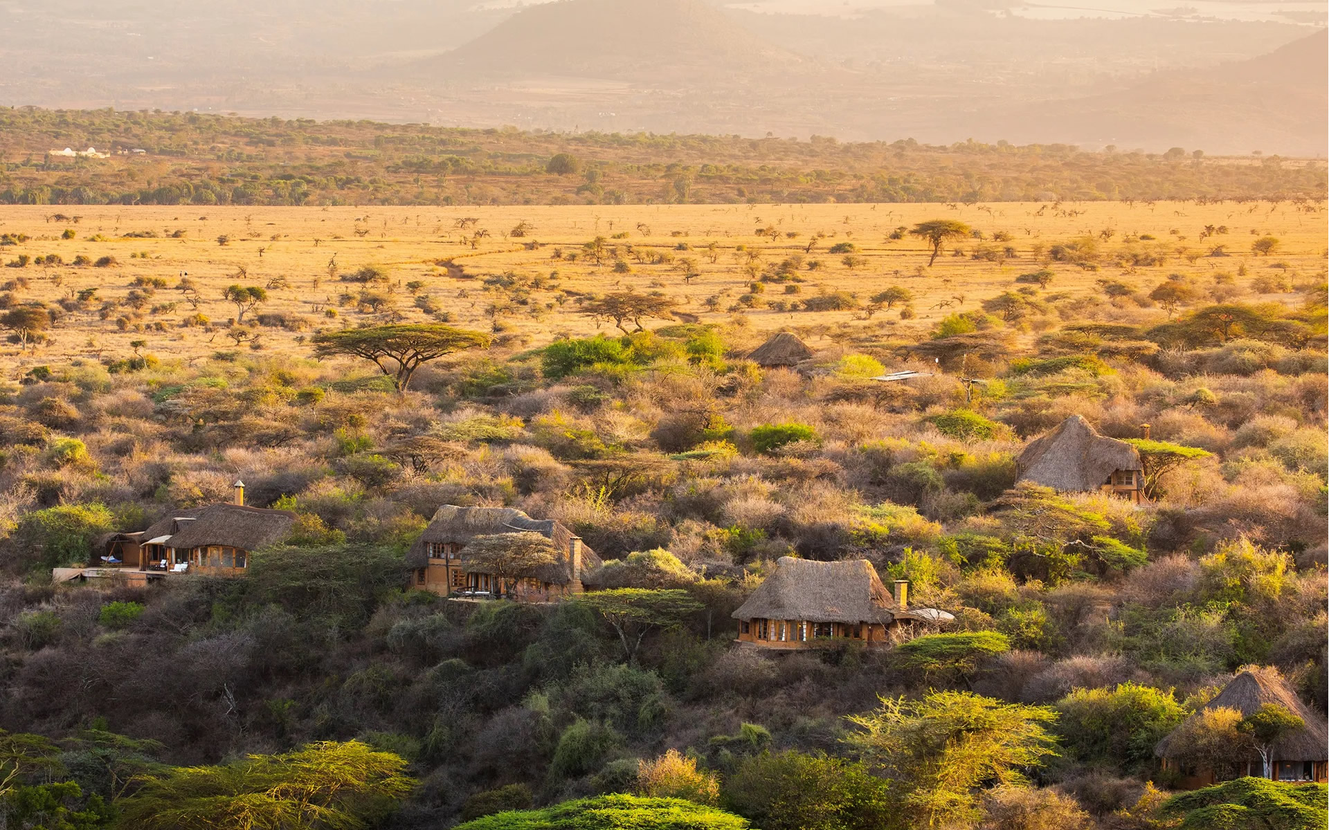 lewa wilderness lodge