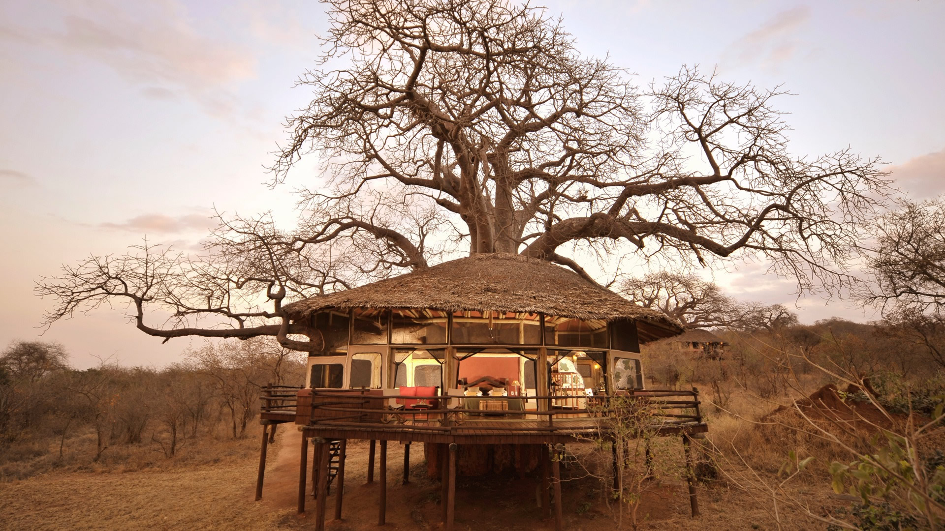 tarangire treetops lodge