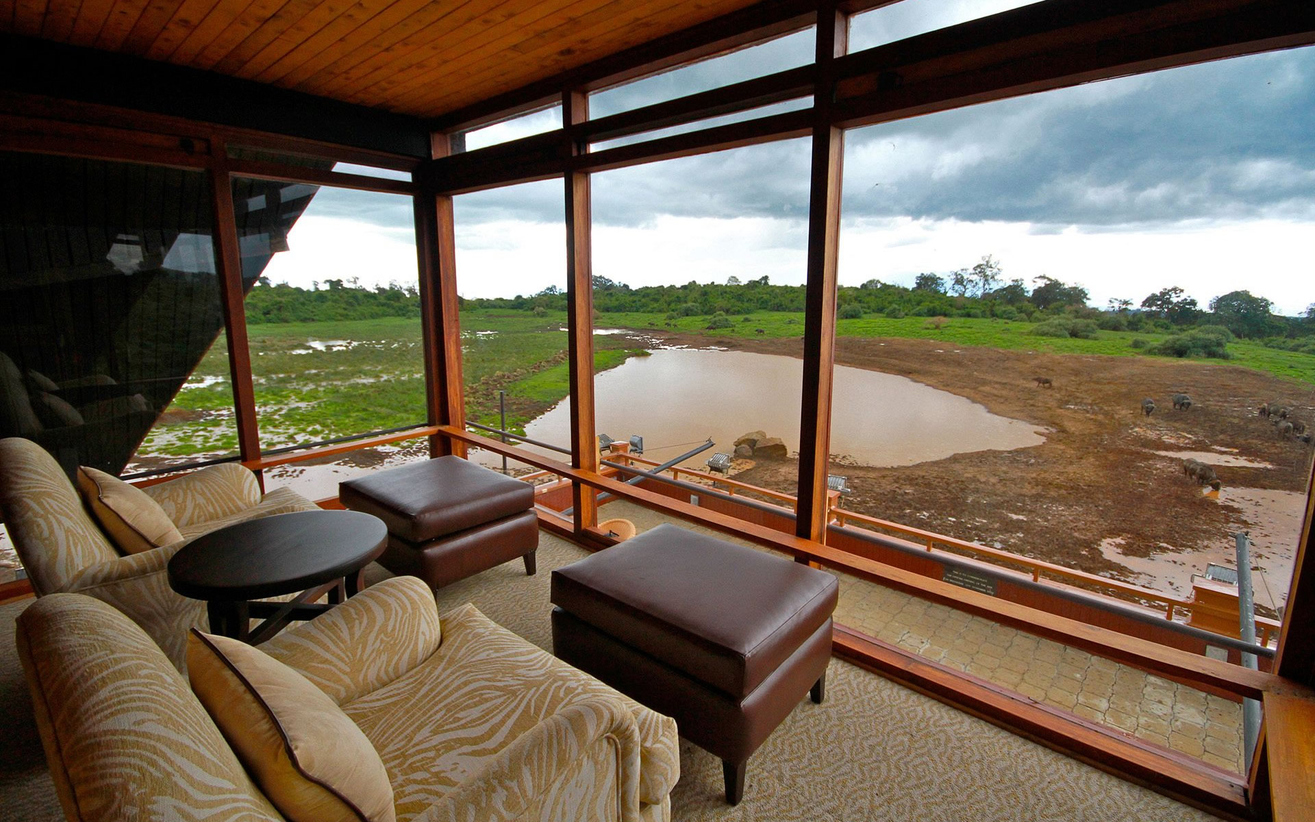 the ark lodge